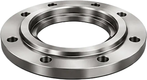 Flange in alloy steel